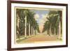 First Street, Ft. Myers, Florida-null-Framed Art Print