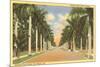 First Street, Ft. Myers, Florida-null-Mounted Art Print
