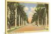 First Street, Ft. Myers, Florida-null-Stretched Canvas