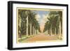 First Street, Ft. Myers, Florida-null-Framed Premium Giclee Print