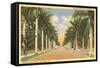 First Street, Ft. Myers, Florida-null-Framed Stretched Canvas