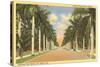 First Street, Ft. Myers, Florida-null-Stretched Canvas