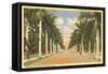 First Street, Ft. Myers, Florida-null-Framed Stretched Canvas