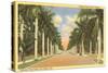 First Street, Ft. Myers, Florida-null-Stretched Canvas