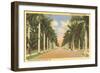 First Street, Ft. Myers, Florida-null-Framed Art Print