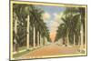 First Street, Ft. Myers, Florida-null-Mounted Art Print