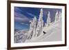 First Tracks on Evans Heaven on Sunny Powder Morning at Whitefish Mountain Resort, Montana-Chuck Haney-Framed Photographic Print