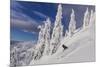 First Tracks on Evans Heaven on Sunny Powder Morning at Whitefish Mountain Resort, Montana-Chuck Haney-Mounted Photographic Print