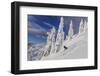 First Tracks on Evans Heaven on Sunny Powder Morning at Whitefish Mountain Resort, Montana-Chuck Haney-Framed Photographic Print