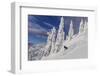 First Tracks on Evans Heaven on Sunny Powder Morning at Whitefish Mountain Resort, Montana-Chuck Haney-Framed Photographic Print