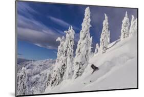 First Tracks on Evans Heaven on Sunny Powder Morning at Whitefish Mountain Resort, Montana-Chuck Haney-Mounted Photographic Print