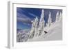 First Tracks on Evans Heaven on Sunny Powder Morning at Whitefish Mountain Resort, Montana-Chuck Haney-Framed Photographic Print