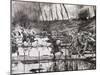 First World War (1914-1918). French Army Crosses the River Isere on Improvised Gateways-Prisma Archivo-Mounted Photographic Print