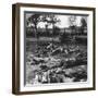 First World War Battlefield Scene, C1914-C1918-null-Framed Photographic Print