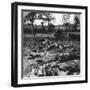 First World War Battlefield Scene, C1914-C1918-null-Framed Photographic Print