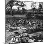 First World War Battlefield Scene, C1914-C1918-null-Mounted Photographic Print