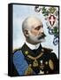 First World War: “” Portrait of Admiral Tommaso Di Savoia-Genova, Duke of Genes (1854-1931) and Lie-Tancredi Scarpelli-Framed Stretched Canvas