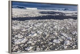 First Year Sea Ice and Brash Ice Near Petermann Island-Michael Nolan-Framed Photographic Print