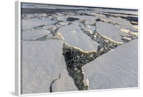 First Year Sea Ice and Brash Ice Near Petermann Island-Michael Nolan-Framed Photographic Print