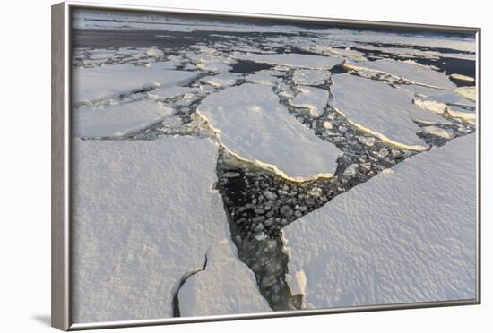 First Year Sea Ice and Brash Ice Near Petermann Island-Michael Nolan-Framed Photographic Print