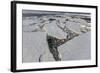 First Year Sea Ice and Brash Ice Near Petermann Island-Michael Nolan-Framed Photographic Print