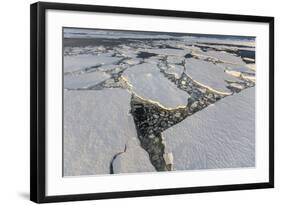 First Year Sea Ice and Brash Ice Near Petermann Island-Michael Nolan-Framed Photographic Print