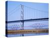 Firth of Forth Bridges, 1964 Road Suspension Bridge, 1890 Rail Bridge, Scotland, UK-Anthony Waltham-Stretched Canvas