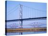 Firth of Forth Bridges, 1964 Road Suspension Bridge, 1890 Rail Bridge, Scotland, UK-Anthony Waltham-Stretched Canvas