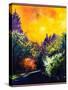 Firtrees and sun-Pol Ledent-Stretched Canvas