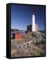 Fisgard Lighthouse, Fort Rodd, Victoria, British Columbia, Canada-Walter Bibikow-Framed Stretched Canvas
