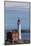 Fisgard Lighthouse in Victoria, British Columbia, Canada-Chuck Haney-Mounted Photographic Print