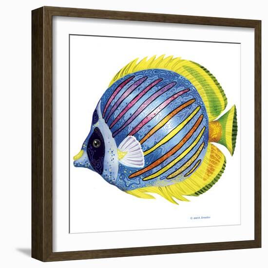 Fish 1 Blue-Yellow-Olga And Alexey Drozdov-Framed Premium Giclee Print