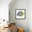 Fish 1 Blue-Yellow-Olga And Alexey Drozdov-Framed Premium Giclee Print displayed on a wall
