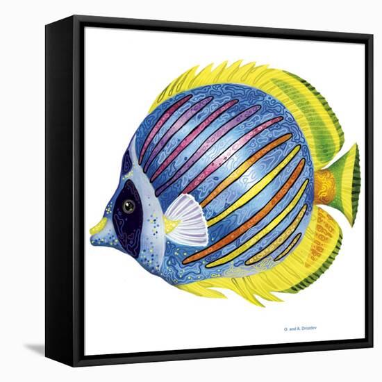 Fish 1 Blue-Yellow-Olga And Alexey Drozdov-Framed Stretched Canvas