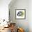 Fish 1 Blue-Yellow-Olga And Alexey Drozdov-Framed Giclee Print displayed on a wall