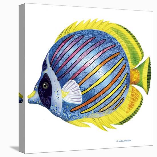 Fish 1 Blue-Yellow-Olga And Alexey Drozdov-Stretched Canvas