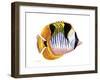 Fish 1 Red-Yellow-Olga And Alexey Drozdov-Framed Giclee Print