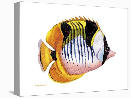 Fish 1 Red-Yellow-Olga And Alexey Drozdov-Stretched Canvas