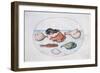 Fish, 16th Century-Joris Hoefnagel-Framed Giclee Print