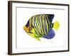 Fish 2 Blue-Yellow-Olga And Alexey Drozdov-Framed Giclee Print