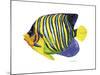 Fish 2 Blue-Yellow-Olga And Alexey Drozdov-Mounted Giclee Print