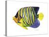 Fish 2 Blue-Yellow-Olga And Alexey Drozdov-Stretched Canvas