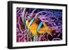 Fish 2-Lee Peterson-Framed Photographic Print