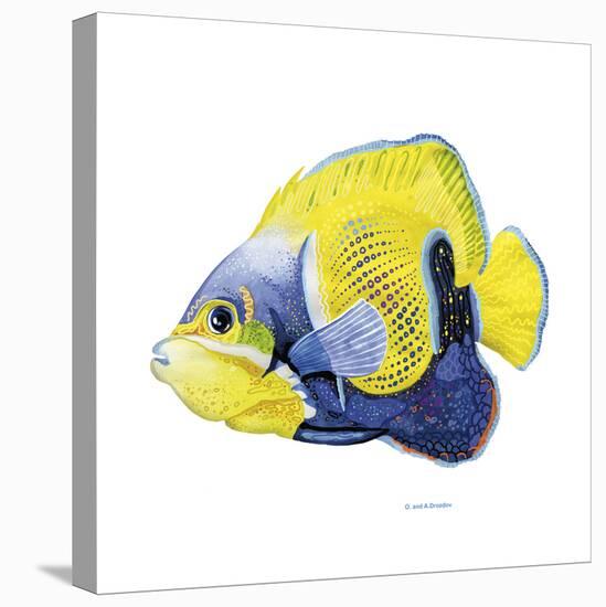 Fish 3 Blue-Yellow-Olga And Alexey Drozdov-Stretched Canvas