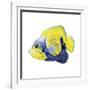 Fish 3 Blue-Yellow-Olga And Alexey Drozdov-Framed Giclee Print