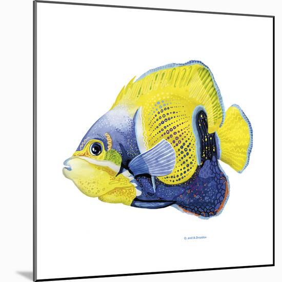 Fish 3 Blue-Yellow-Olga And Alexey Drozdov-Mounted Giclee Print