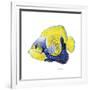 Fish 3 Blue-Yellow-Olga And Alexey Drozdov-Framed Giclee Print