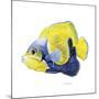 Fish 3 Blue-Yellow-Olga And Alexey Drozdov-Mounted Giclee Print