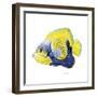 Fish 3 Blue-Yellow-Olga And Alexey Drozdov-Framed Premium Giclee Print