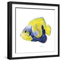 Fish 3 Blue-Yellow-Olga And Alexey Drozdov-Framed Premium Giclee Print